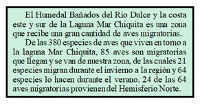 texto