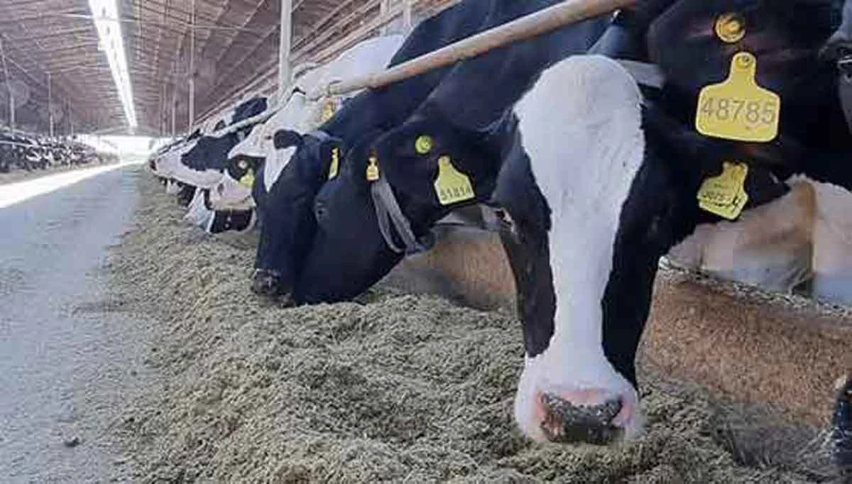 leche-liquidacion