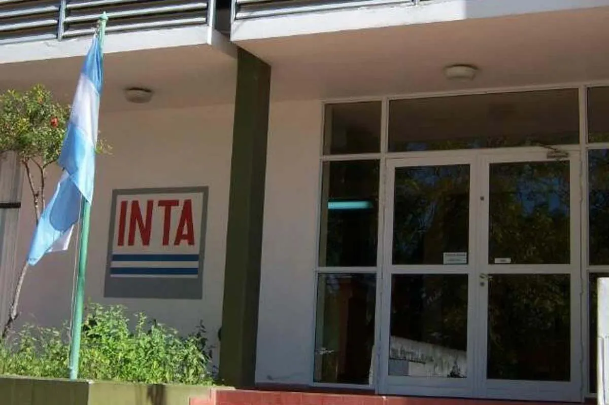 Inta Brinkmann