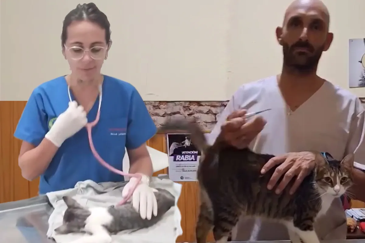 Freyre castraciones copia