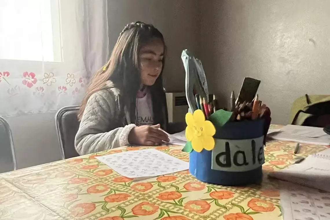 Propuesta Dale