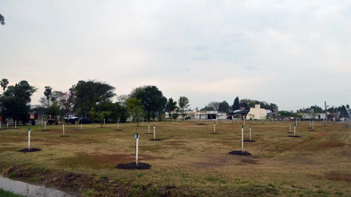 ambientales vignaud parque