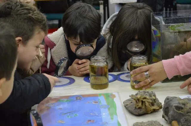 San Gmo Universoidad