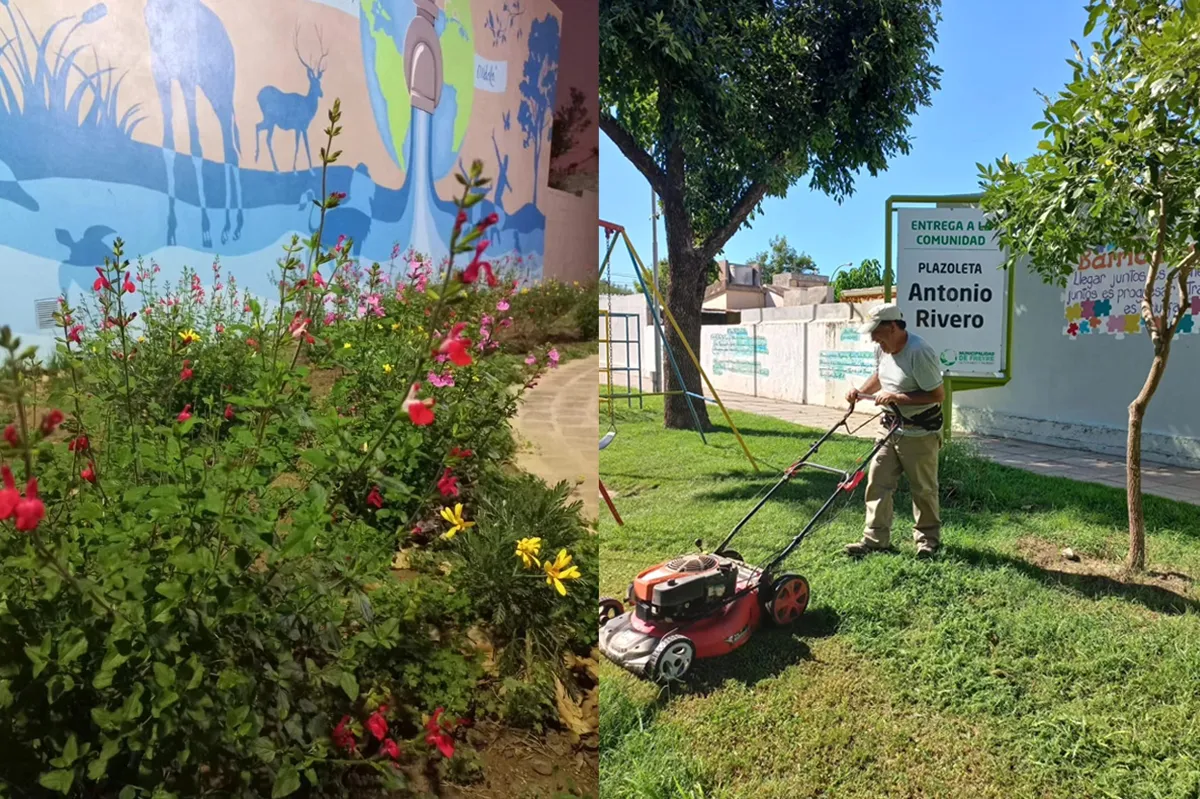 Espacios verdes Freyre