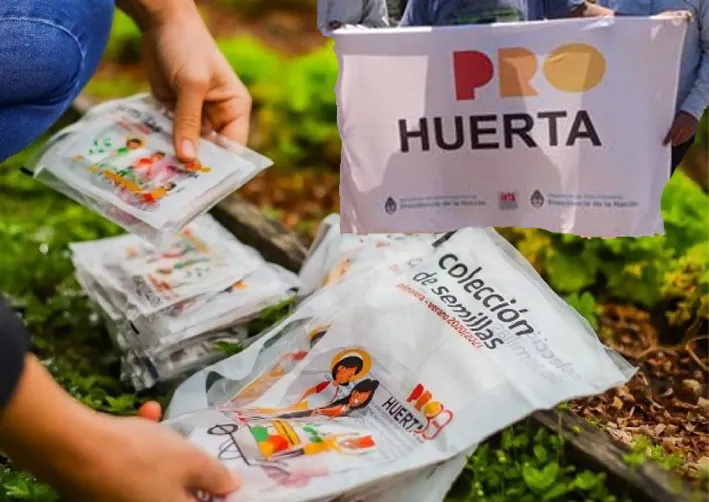 pro huerta en riesgo