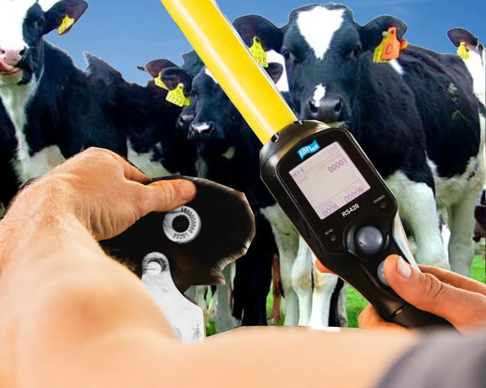 caravana electronica