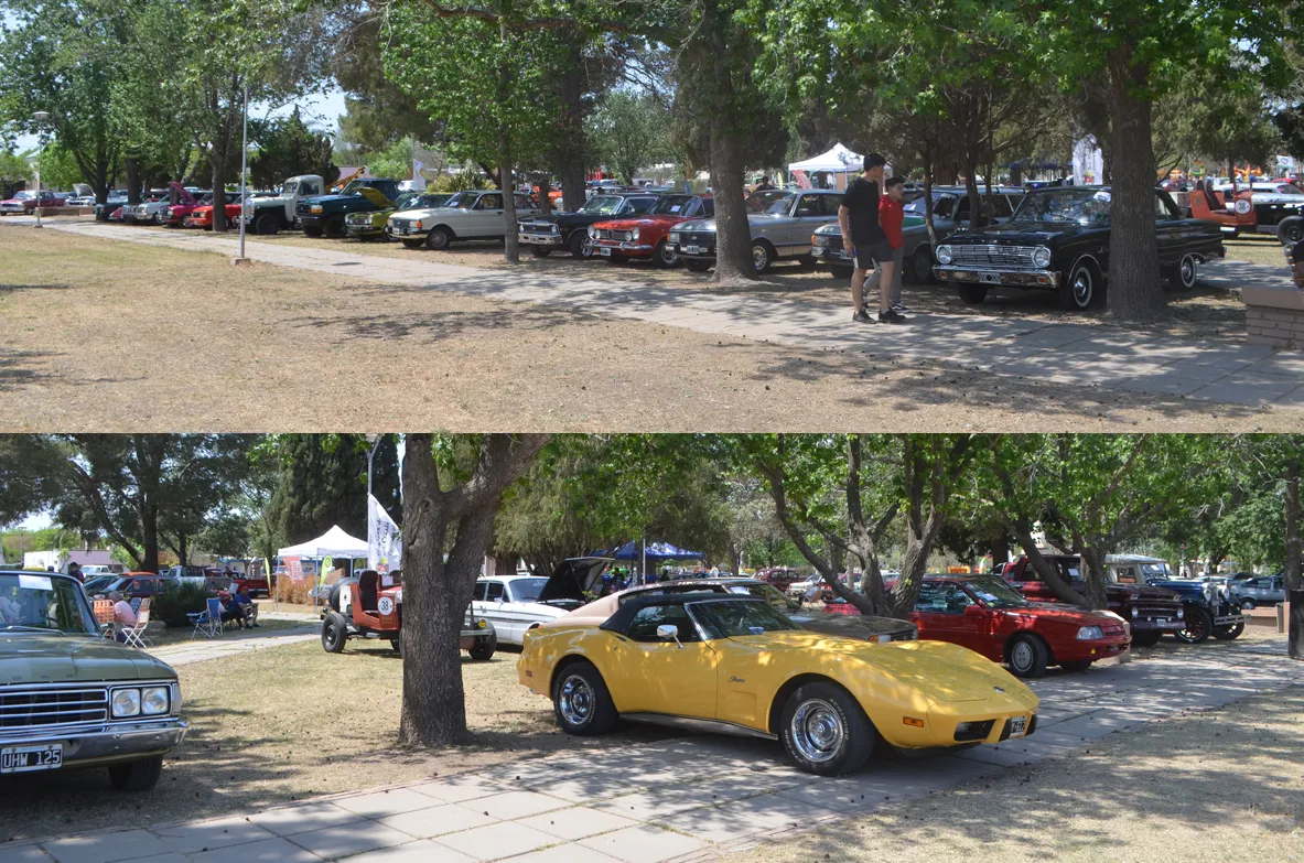 vignaud autos
