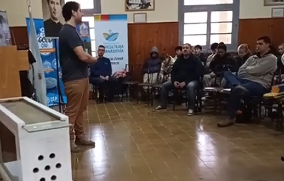 Enseñanza Vignaud