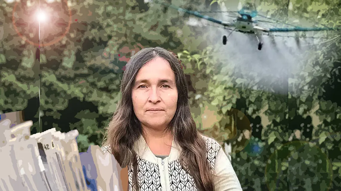 Las historietas y la censura del Inta