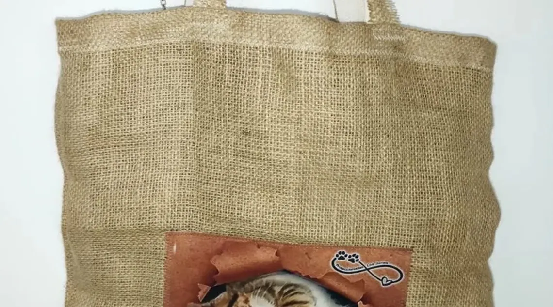 Bolsa