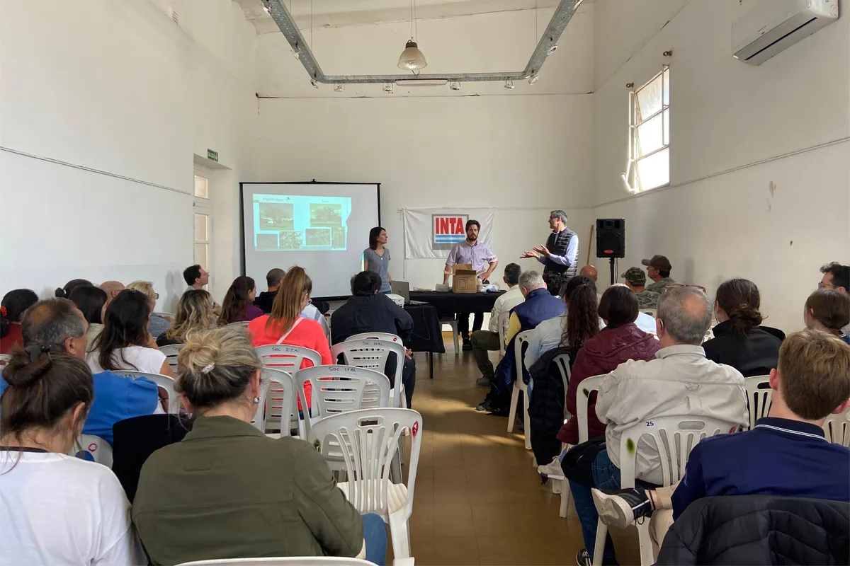 Morteros curso leñoso