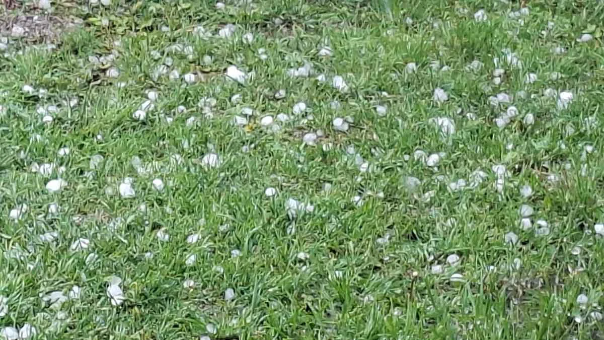 Granizo