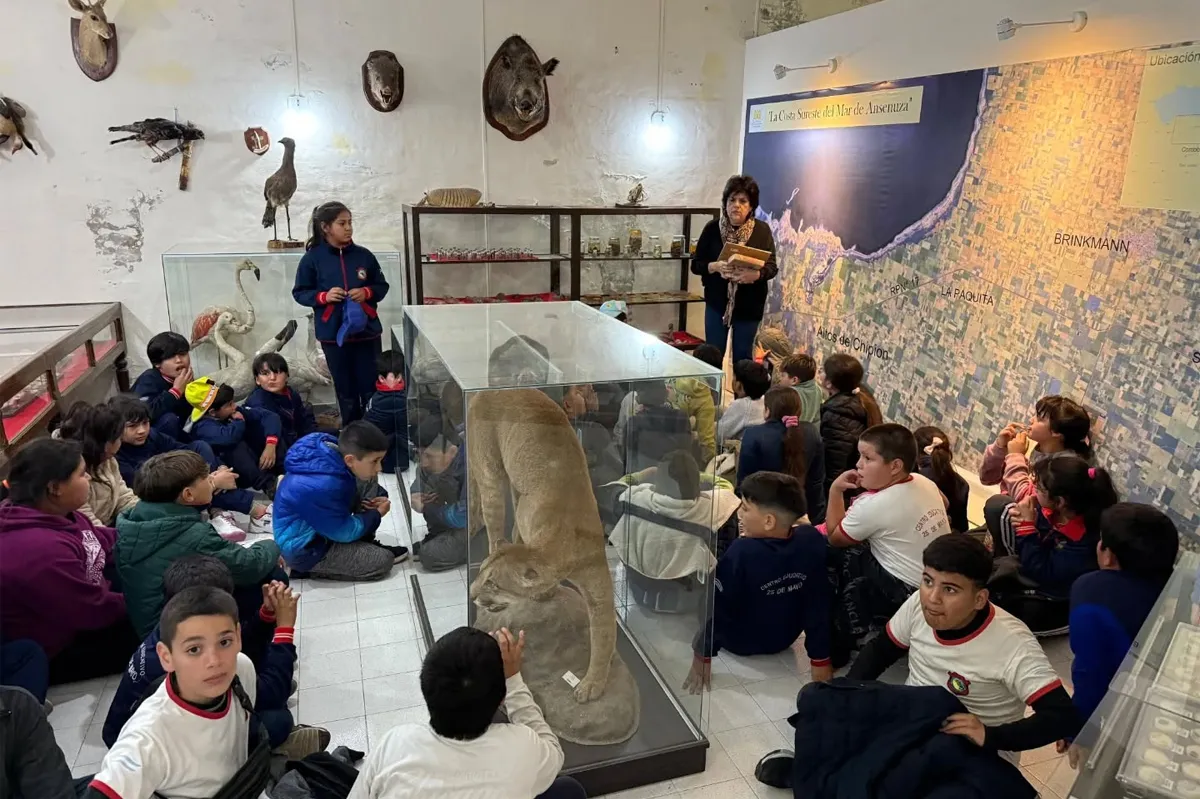 Museo Chipion