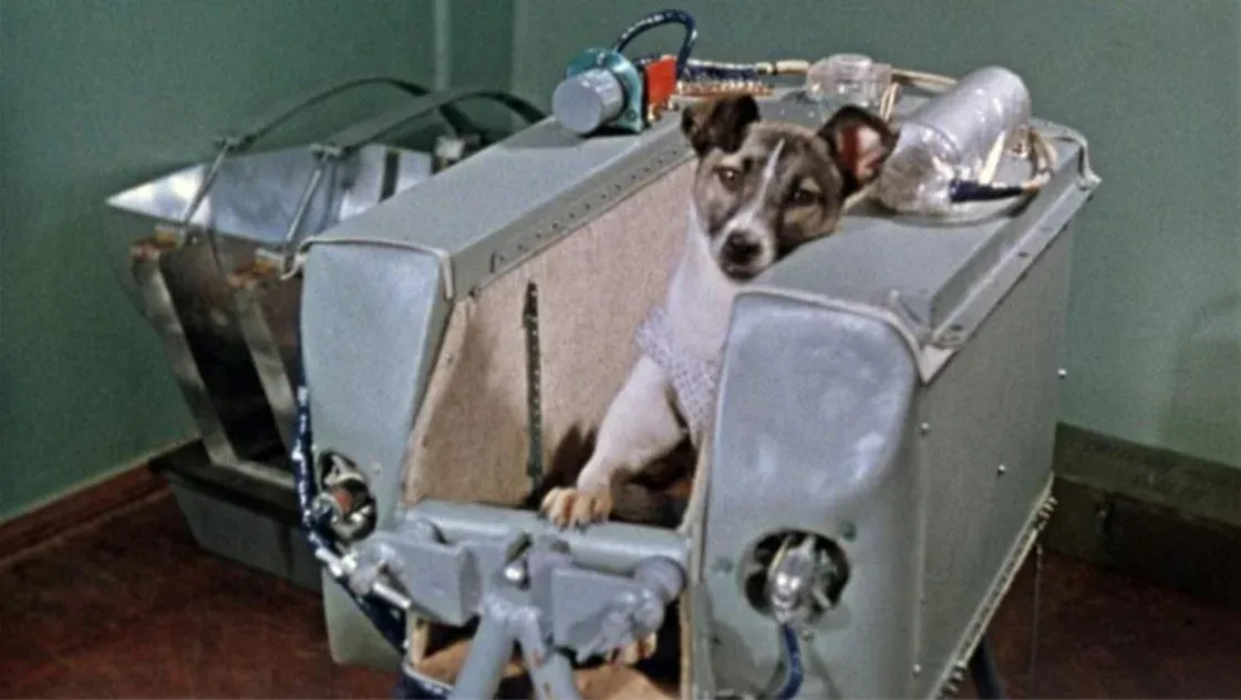 perro astronauta