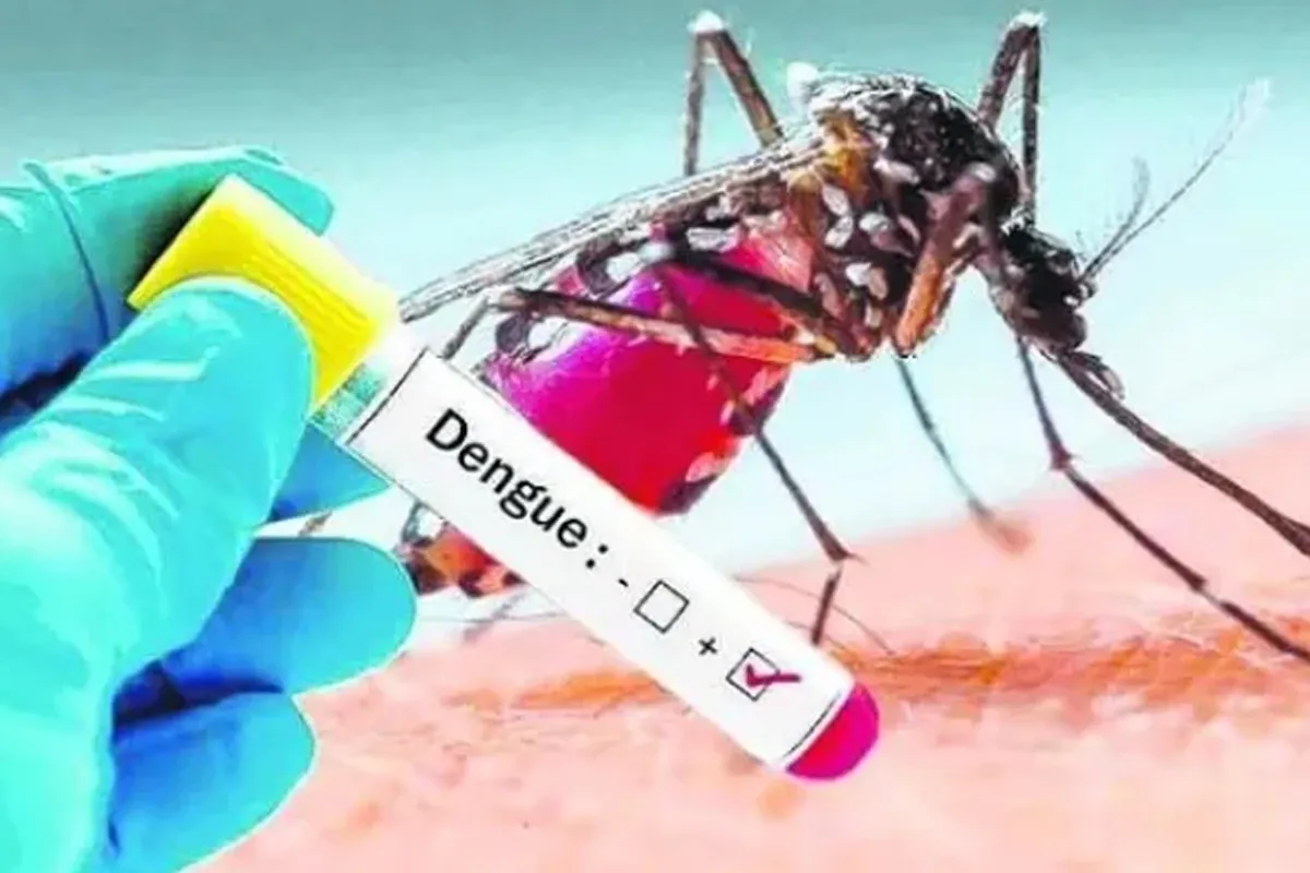 Dengue