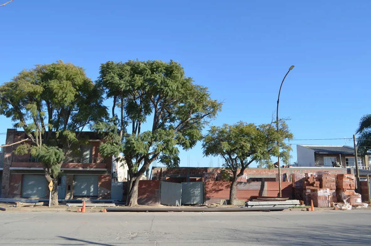 Freyre Edificio Esc Form Profesional