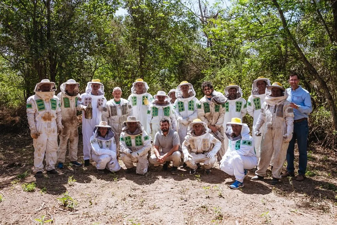 curso apicola san gmo