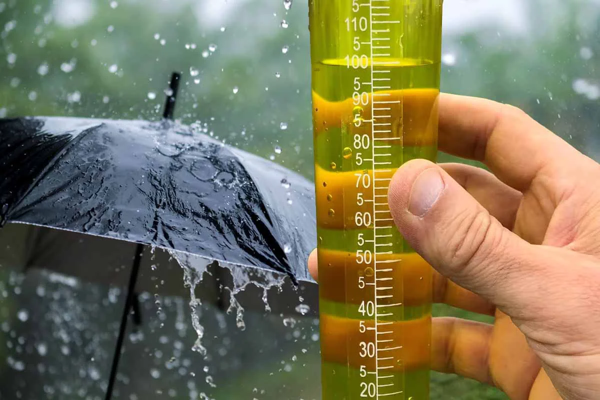 lluvias
