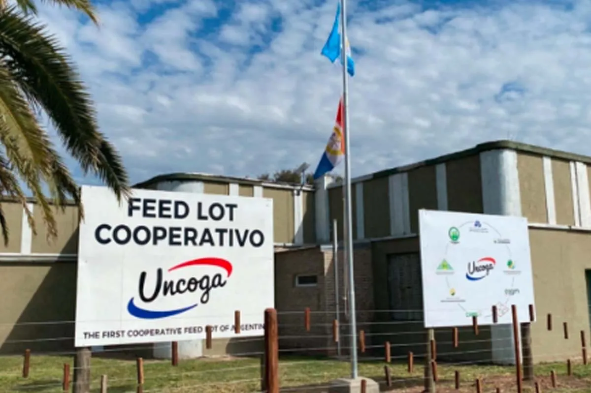 corral cooperativo