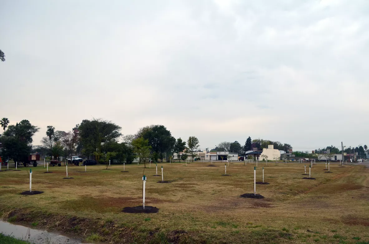 Parque vignaud