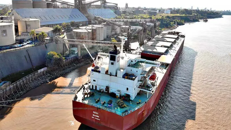 Los impunes de siempre