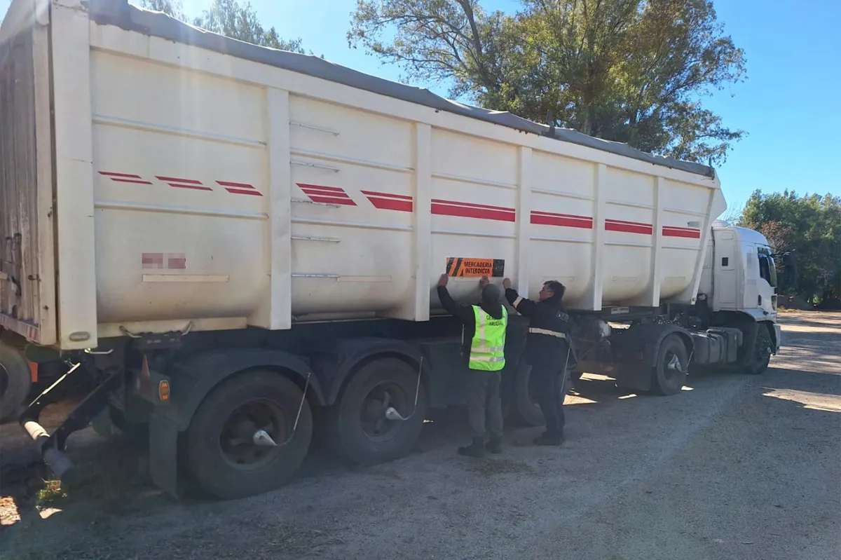 camion granos