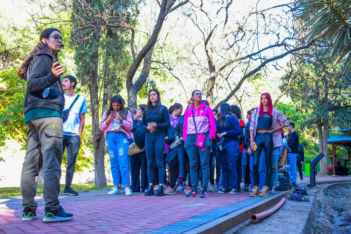 Jovenes