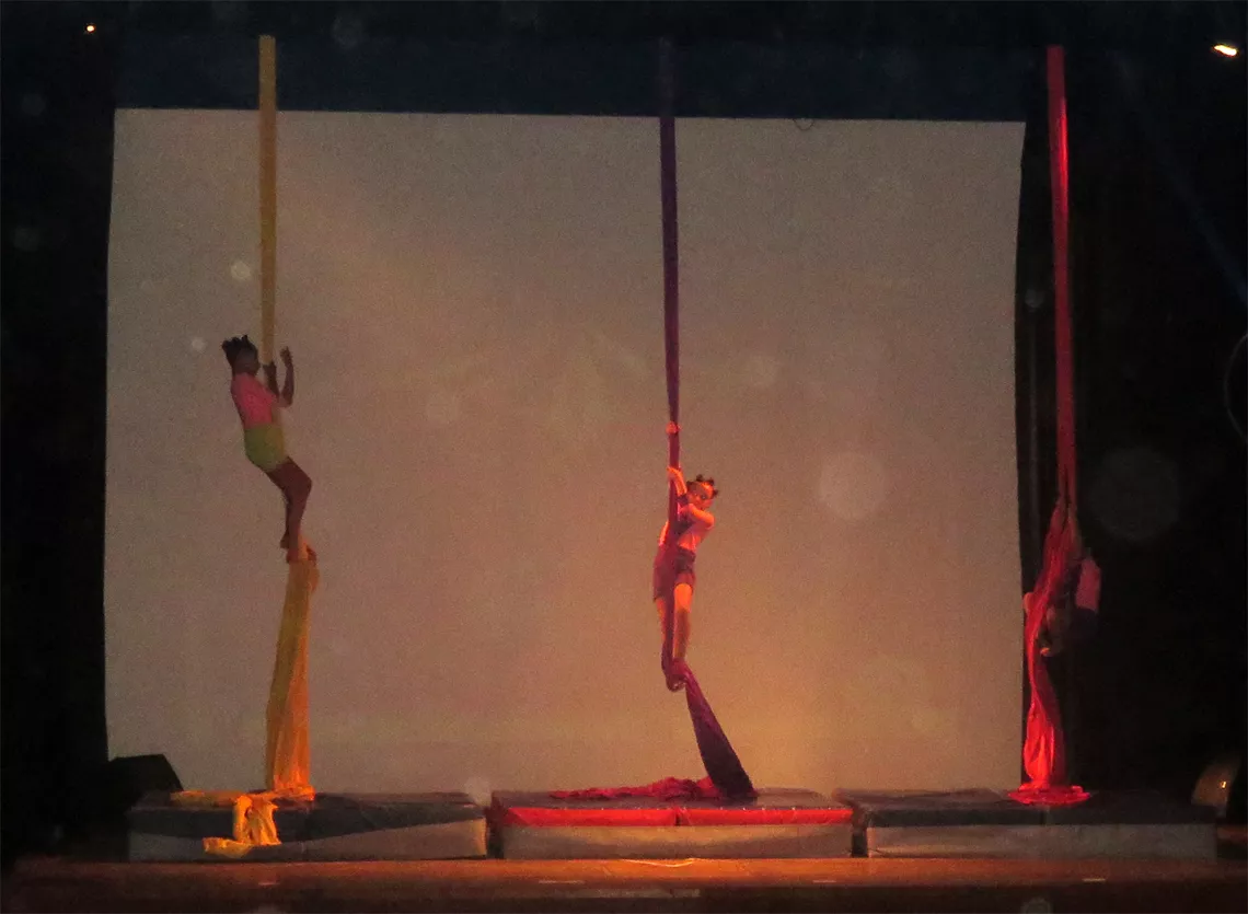 Acrobacia telas Suardi