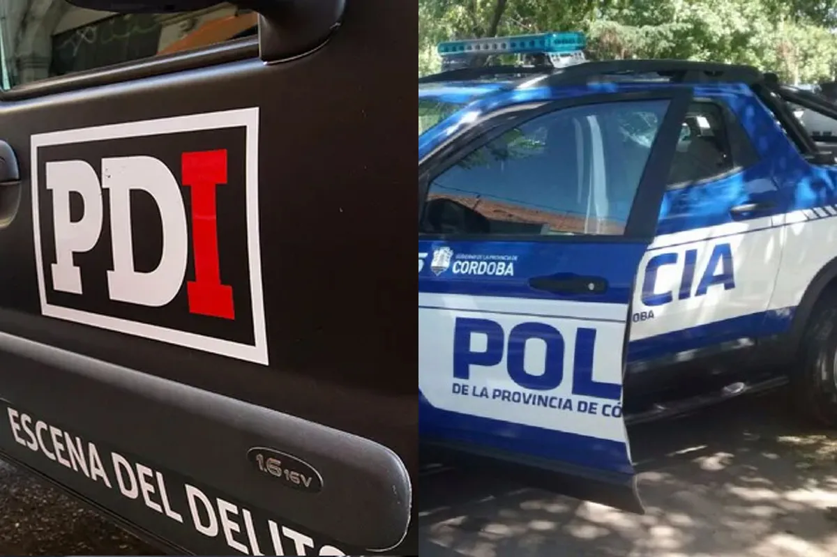 PDI POli