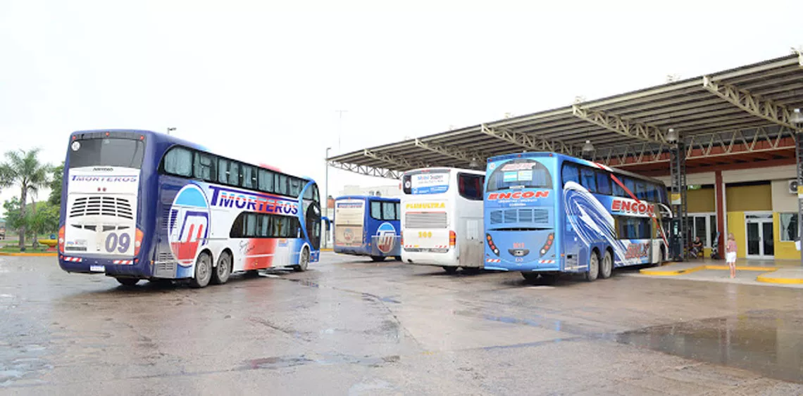colectivos