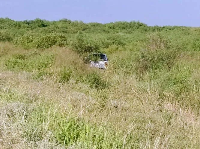 camioneta