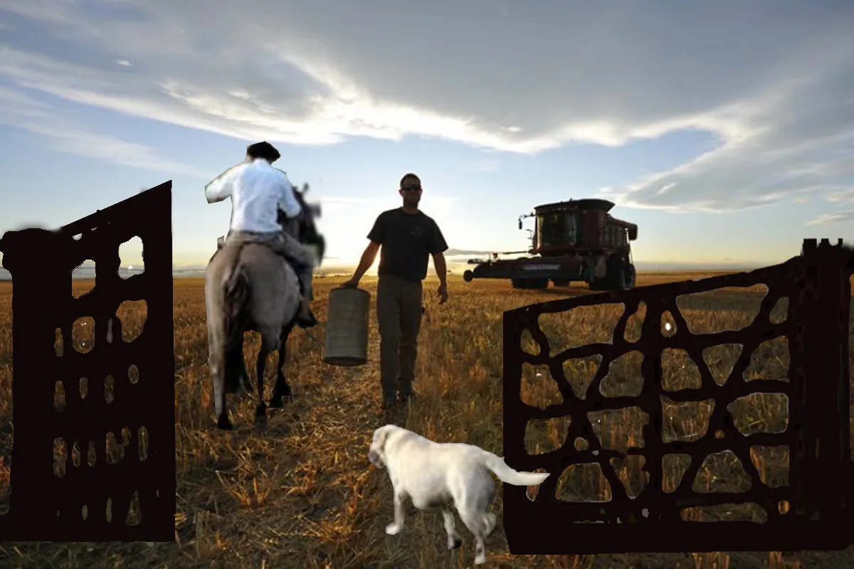trabajo rural