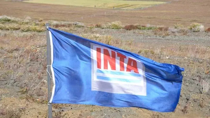Inta