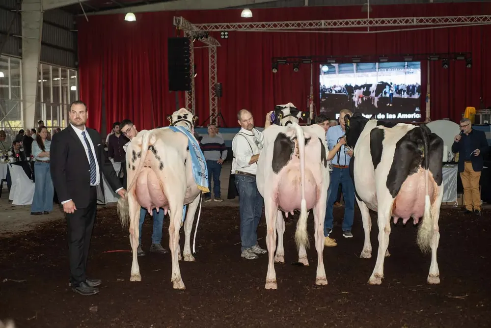 Jurado con vacas campeonas