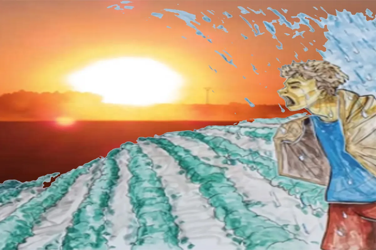 Todo se quema, menos los mosquitos