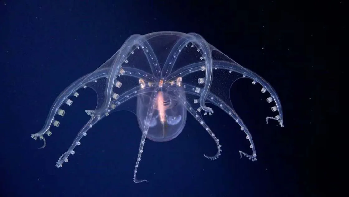 Dos formas de tocar fondo