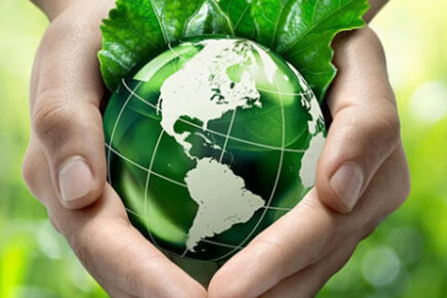 economia sustentable
