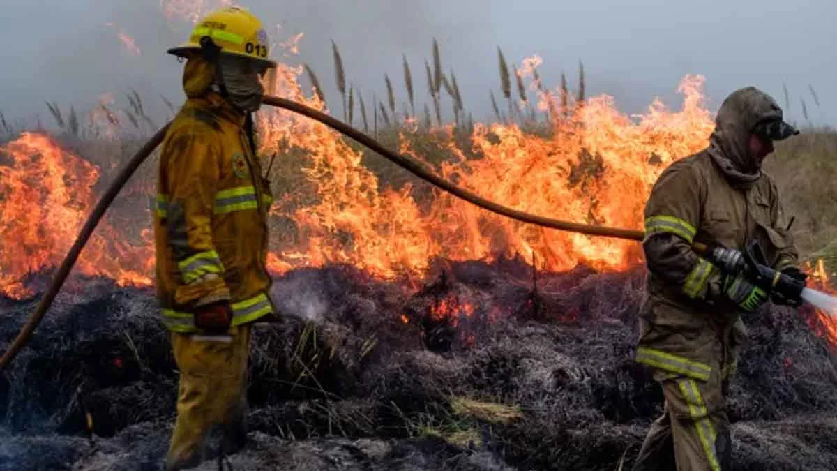incendio-forestal