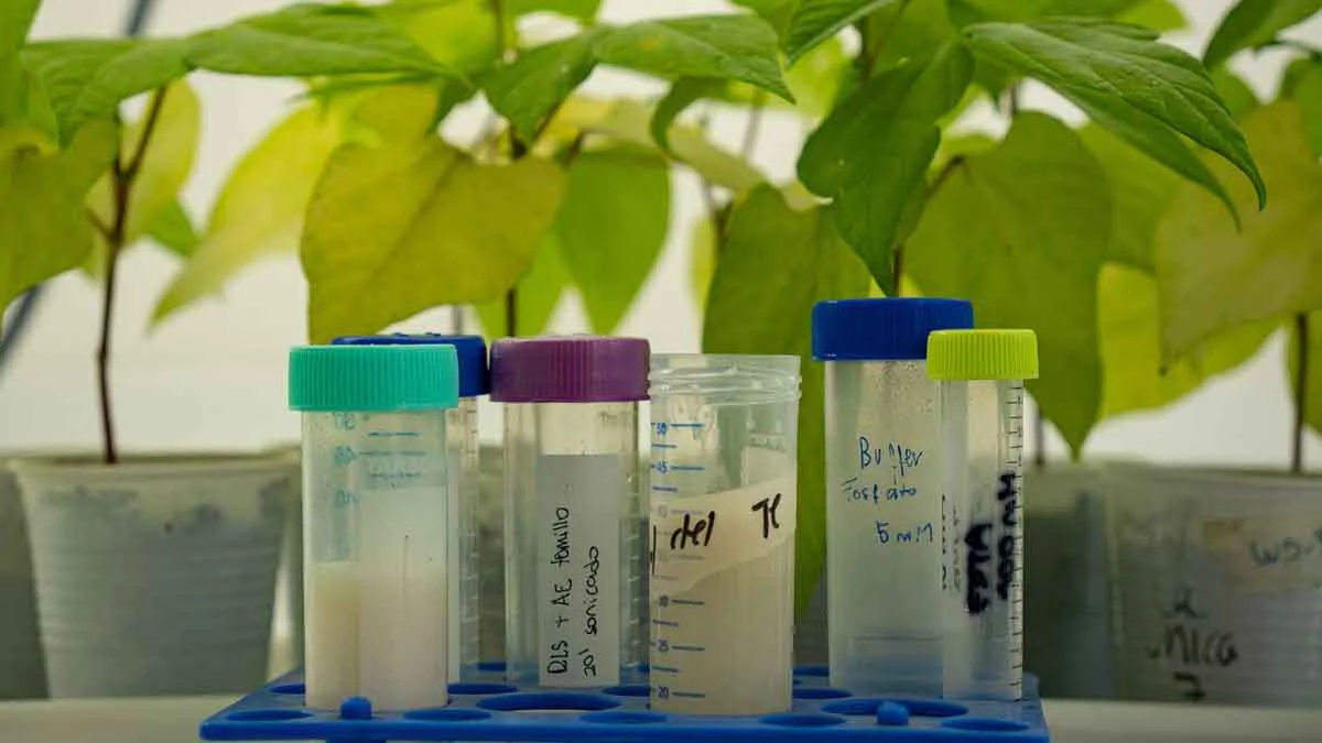 biotecnologia