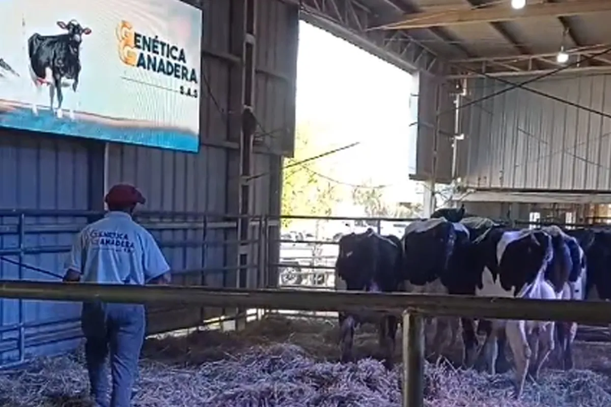 Remate Rural Morteros