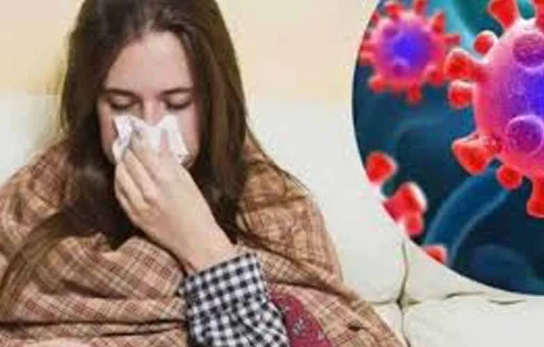 gripe
