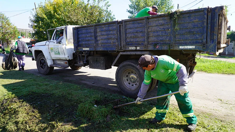 Cesped camion