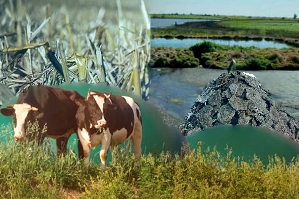 Vignaud biogas