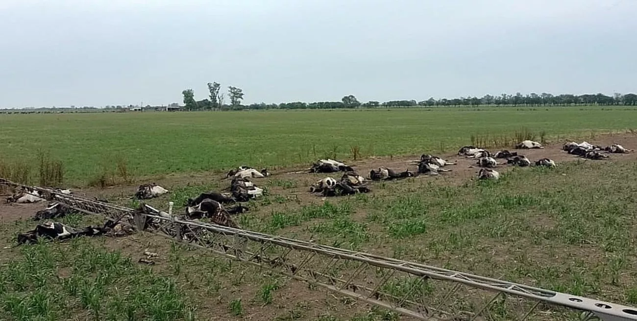 Vacas muertas Aldao