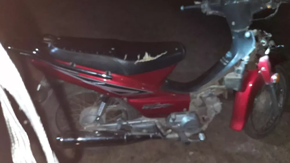 moto suarid