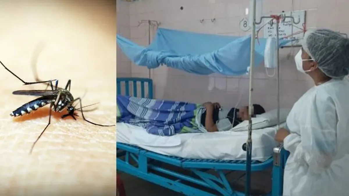 ley dengue