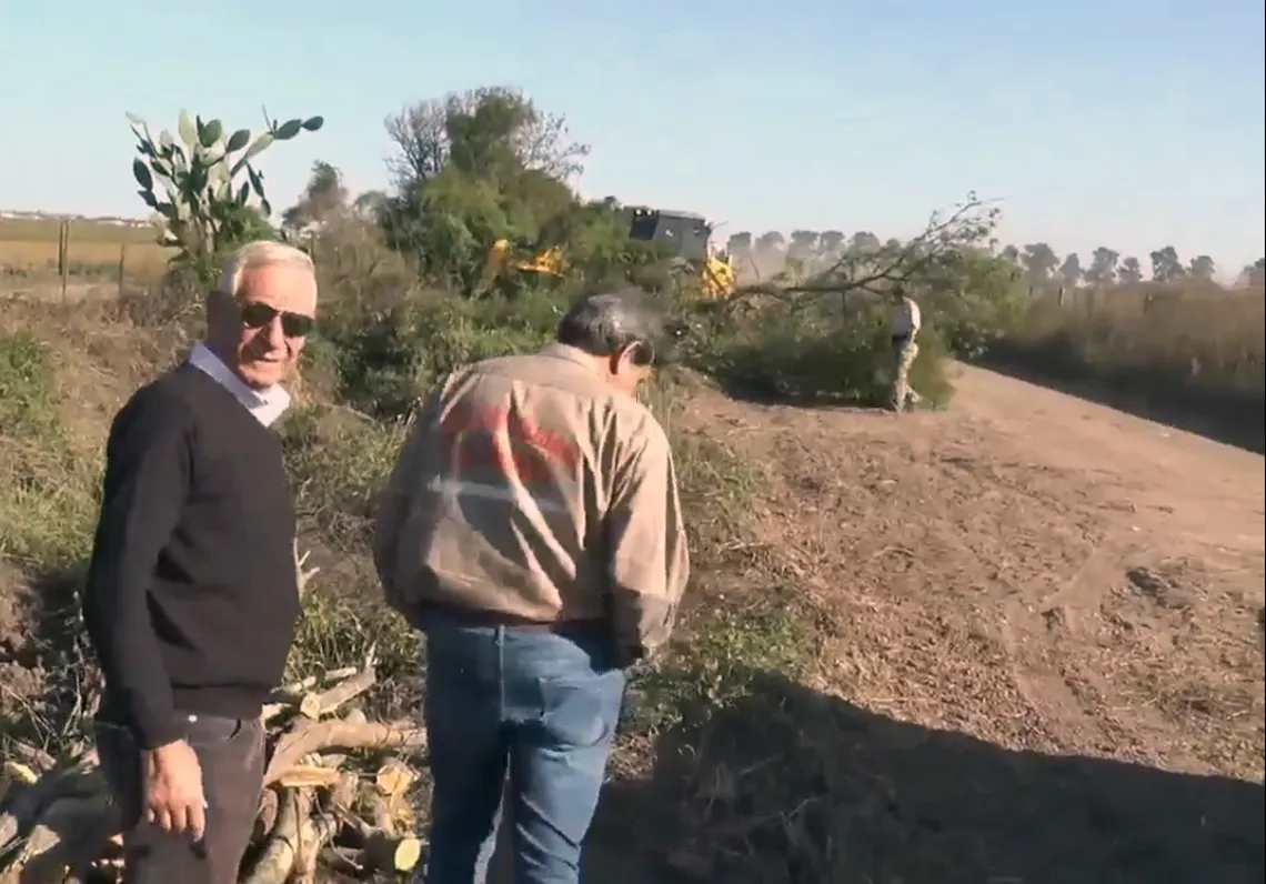 Caminos Suardi