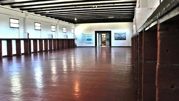 terrorismo de estado