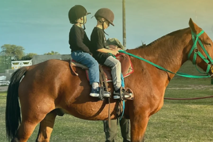 equinoterapia
