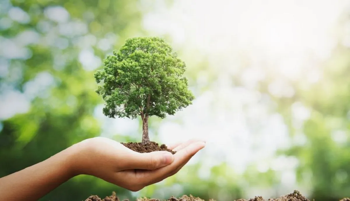 Arbol por la vida